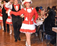 fasching 2013 19